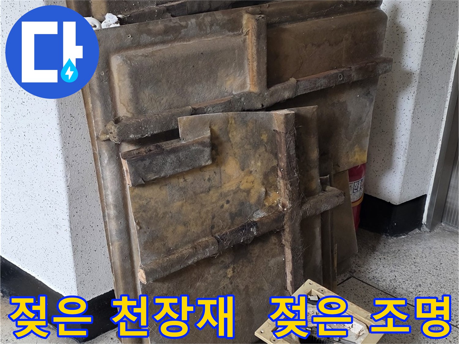 젖은 천장재와 조명 - 누수 심각성 확인