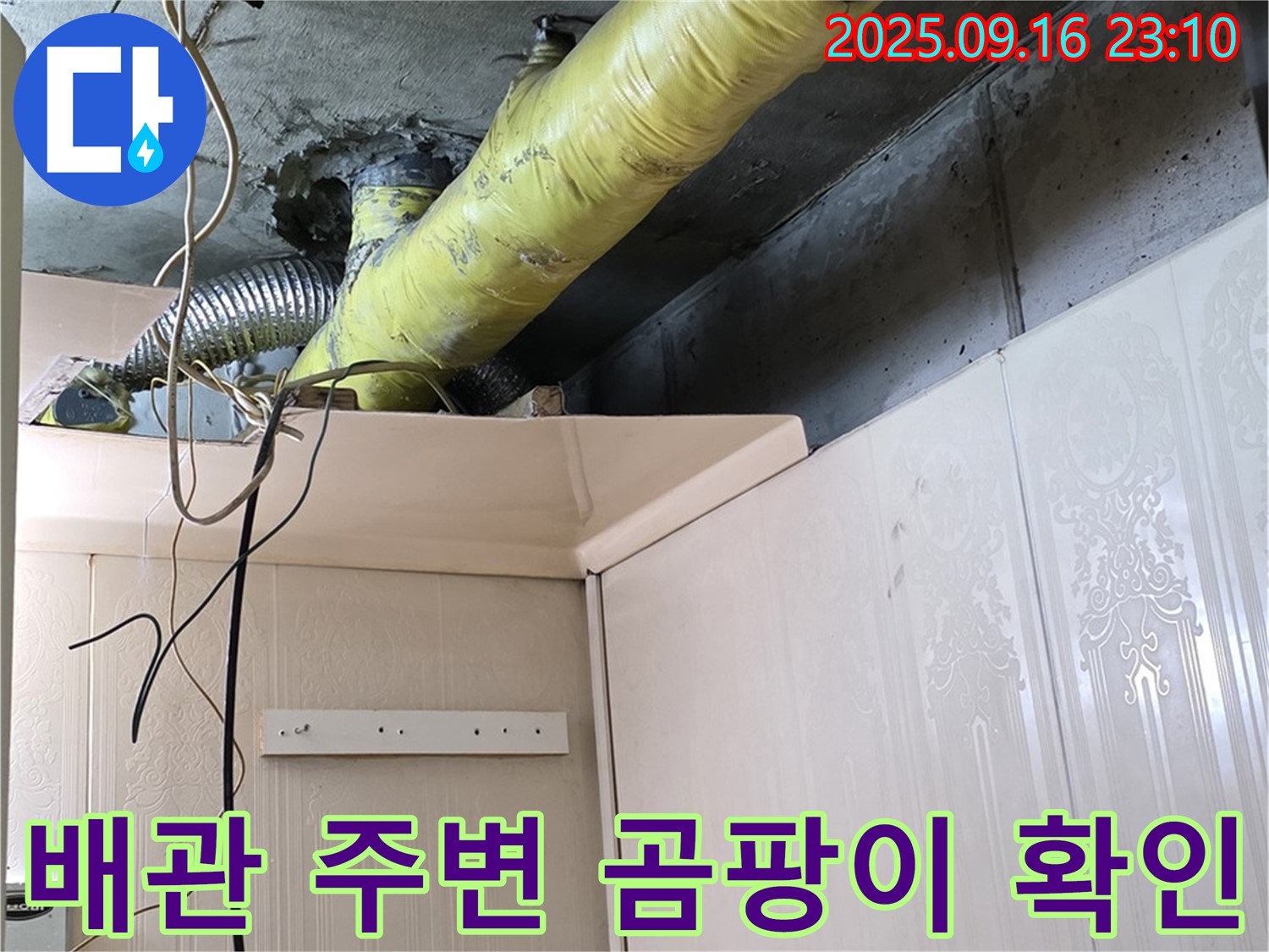 천장 배관 주변 곰팡이 발생 여부 확인 - 은평구 신사동 새절역 현대아파트 누수
