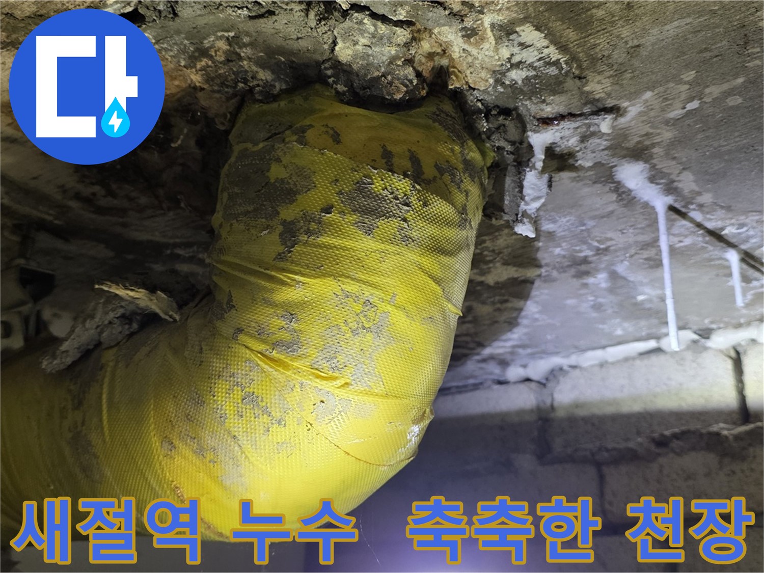 축축한 천장 - 새절역 누수 해결 전문가