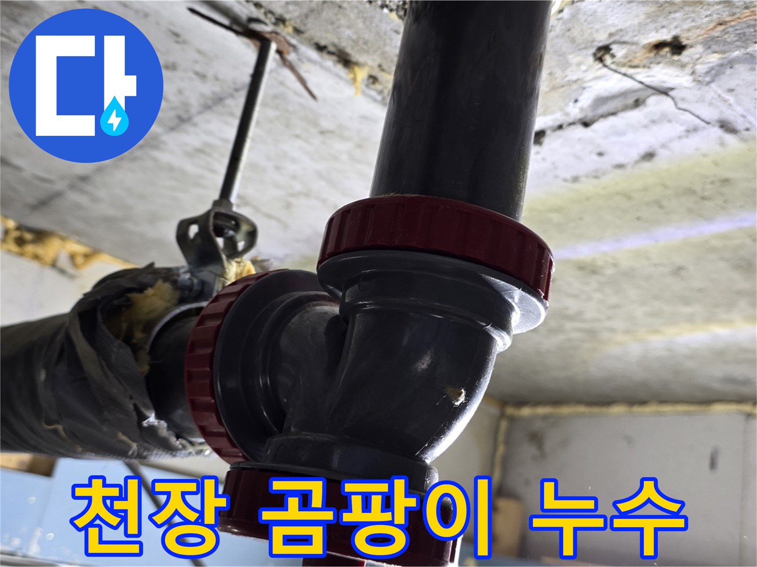 광명 욕실 천장 곰팡이 - 누수 원인 해결 필수