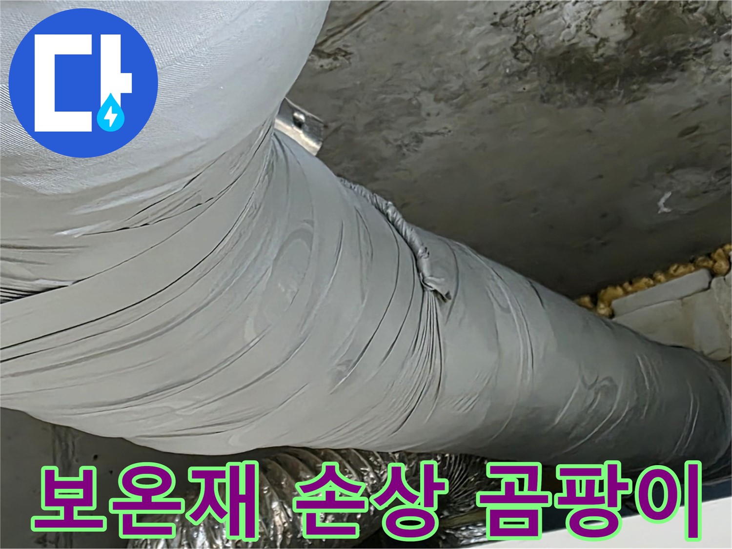 광명 아파트 누수 - 보온재 손상 부위에서 곰팡이 포자 발견, 건강 위협.