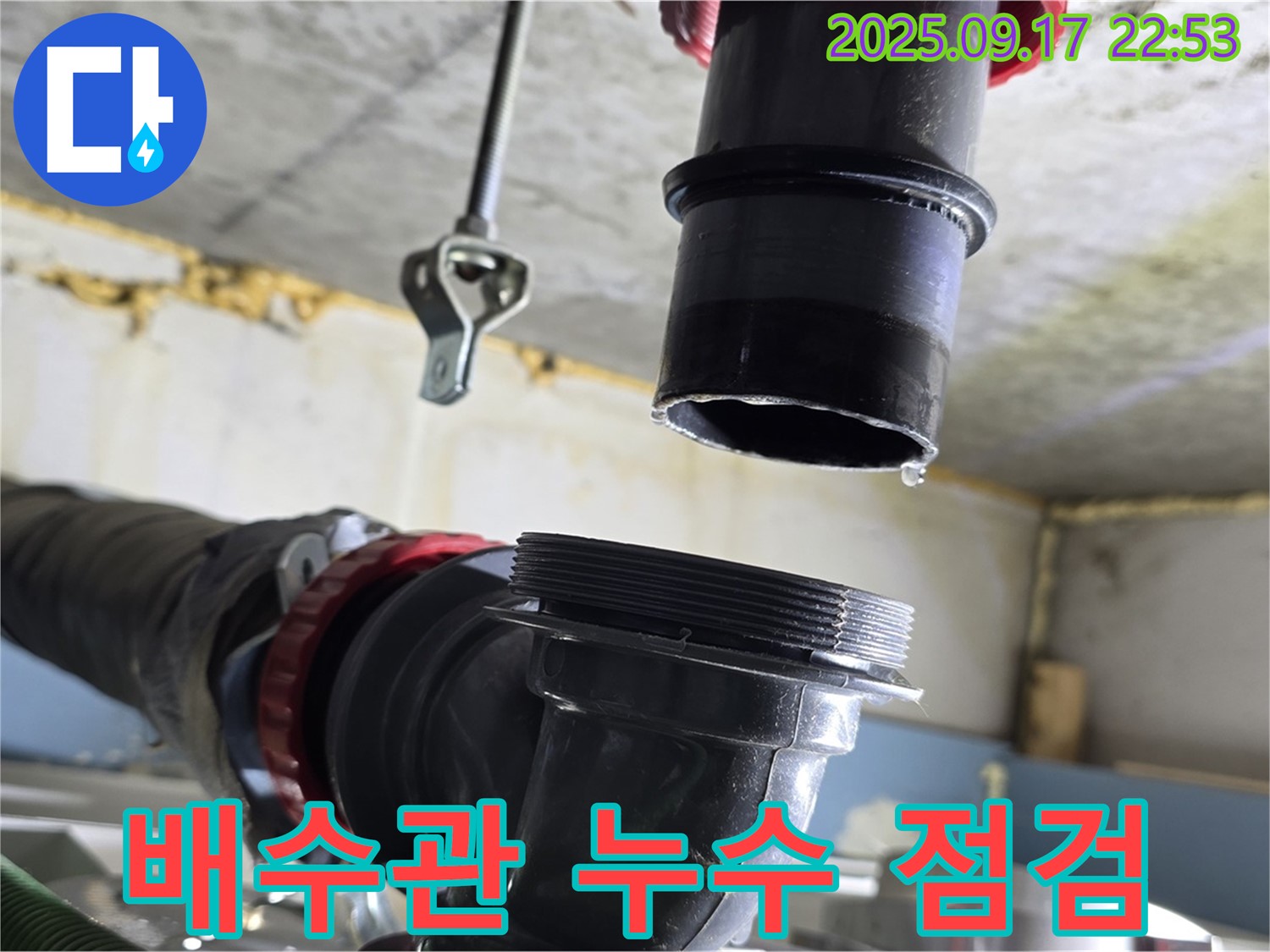싱크대 배수관 누수 점검 - 싱크대 배수관에서 누수가 발생하는지 꼼꼼하게 점검하고 있습니다.