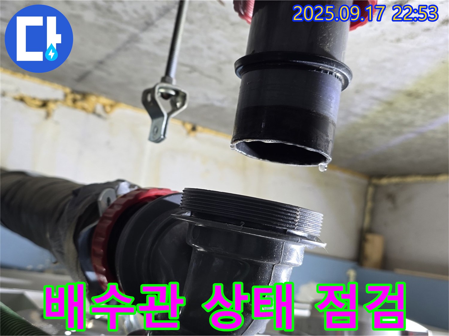 싱크대 배수관 상태 점검 - 누수 원인을 찾기 위해 배수관의 상태를 꼼꼼하게 점검하고 있습니다.