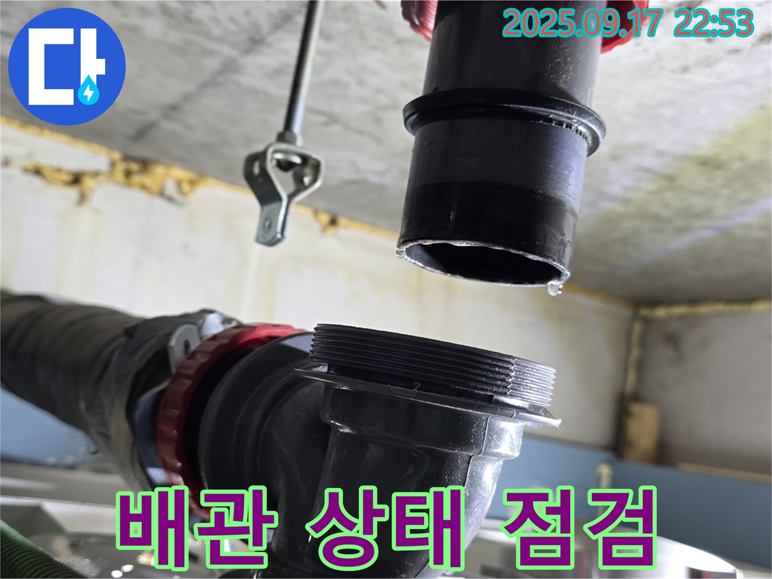 싱크대 하수구 배관 상태 점검 - 누수 원인을 찾기 위해 하수구 배관의 상태를 꼼꼼하게 점검하고 있습니다.