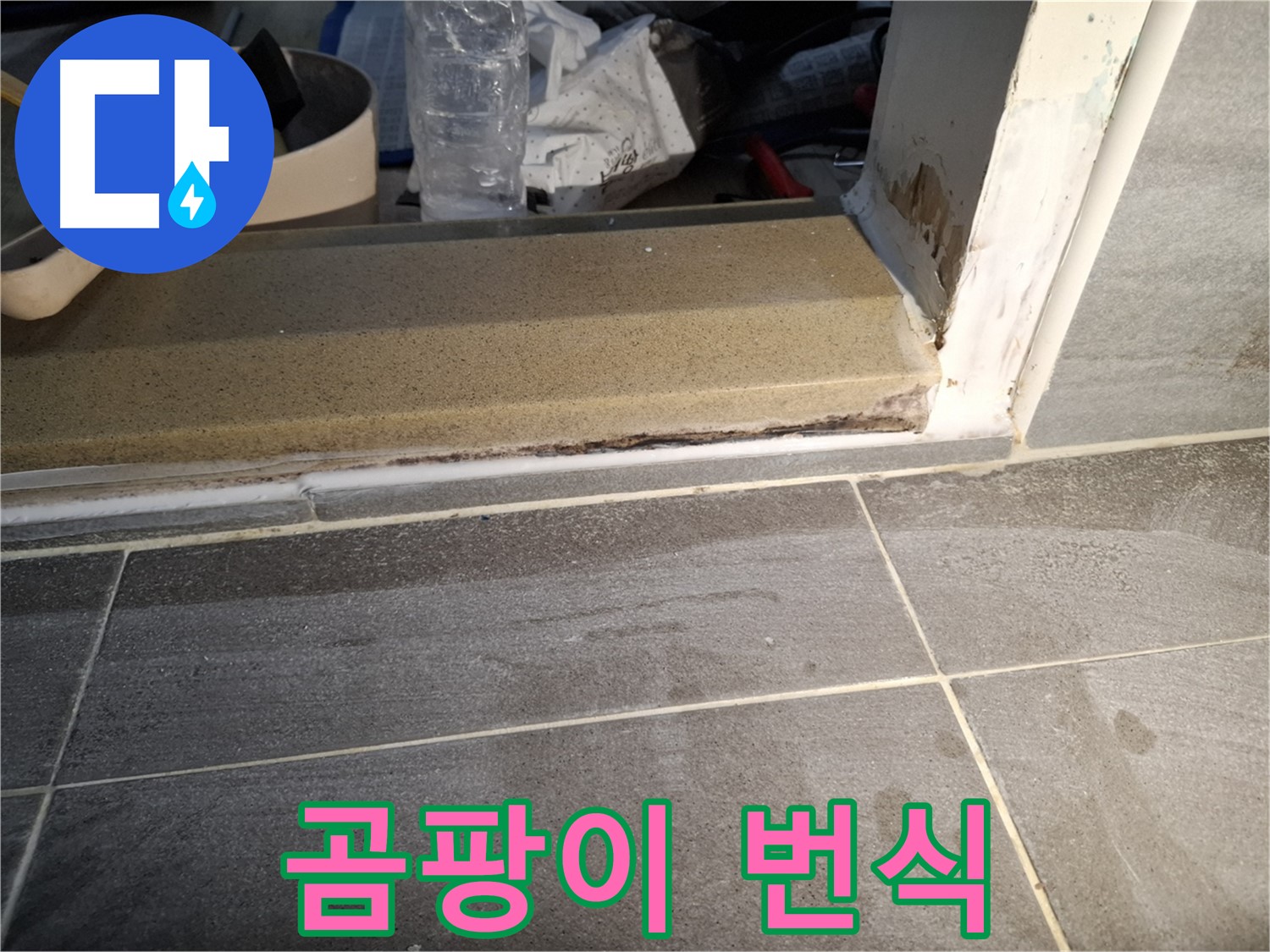 가좌로2안길 홍은빌라 욕실 누수 - 습기 때문에 곰팡이가 심하게 번식했어요