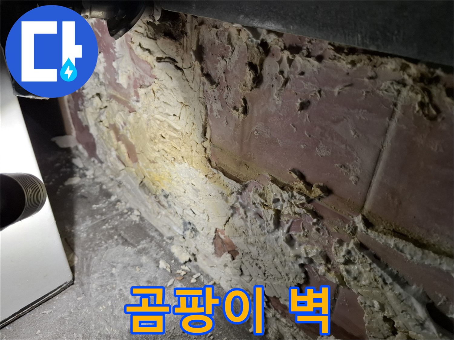 서대문구 홍은빌라 누수 - 곰팡이로 뒤덮인 벽