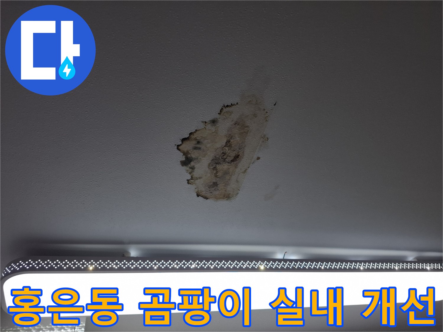 천장 곰팡이 제거 - 건강과 쾌적한 실내 환경