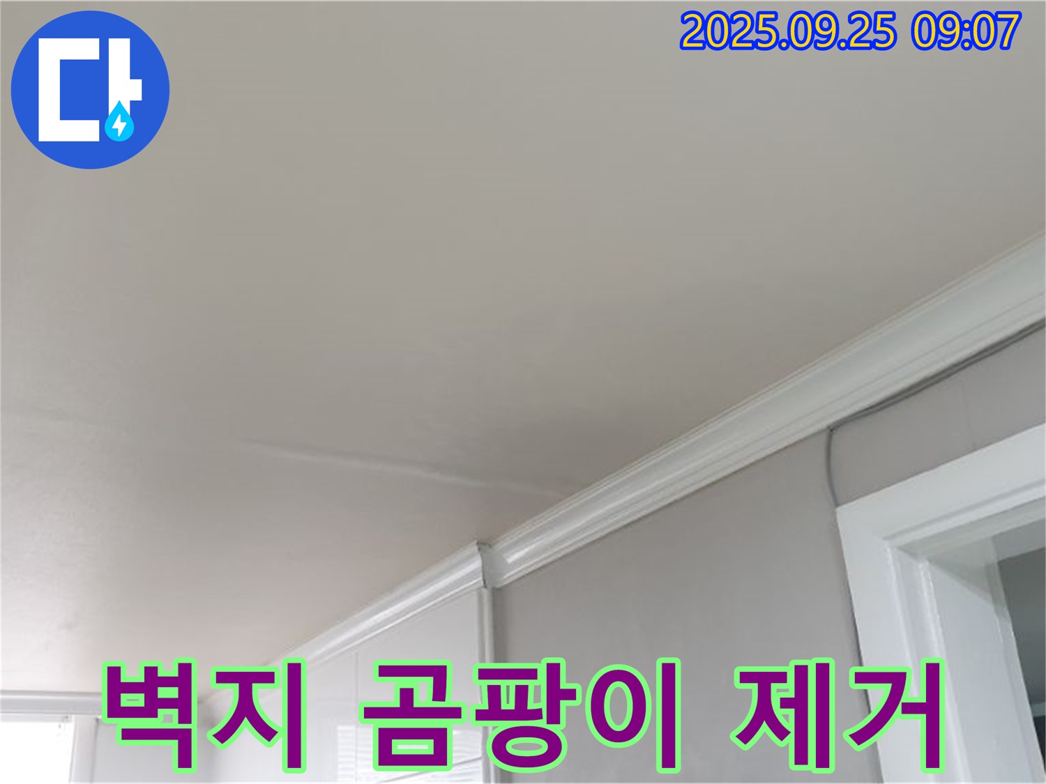 백석읍 천장 누수 해결 - 몰딩 주변 벽지 곰팡이 제거 및 항균 시공으로 쾌적하게!