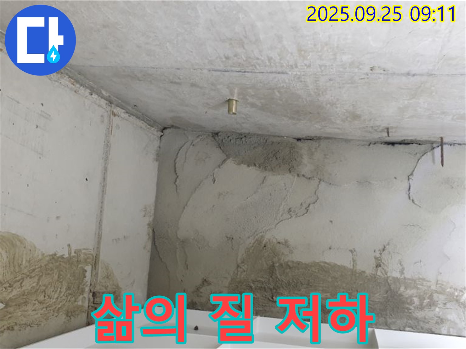 양주시 백석읍 연곡리 누수 - 곰팡이 냄새 - 삶의 질 저하