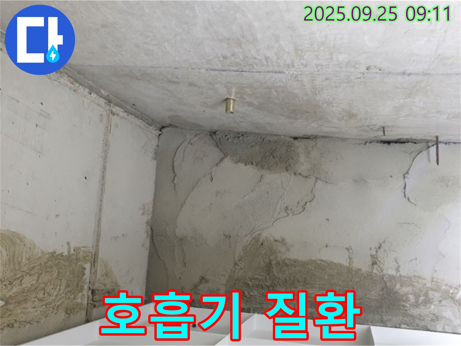 양주시 백석읍 연곡리 누수 - 곰팡이 포자 - 호흡기 질환 유발