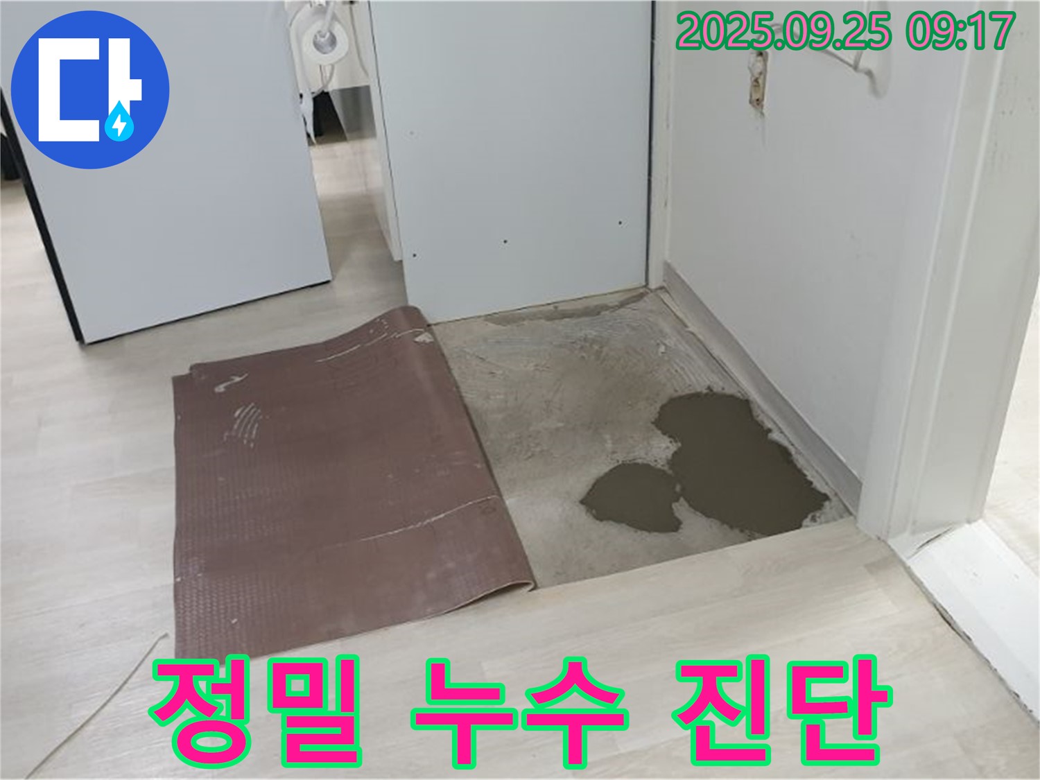 양주시 백석읍 연곡리 누수 - 정밀 누수 진단 과정