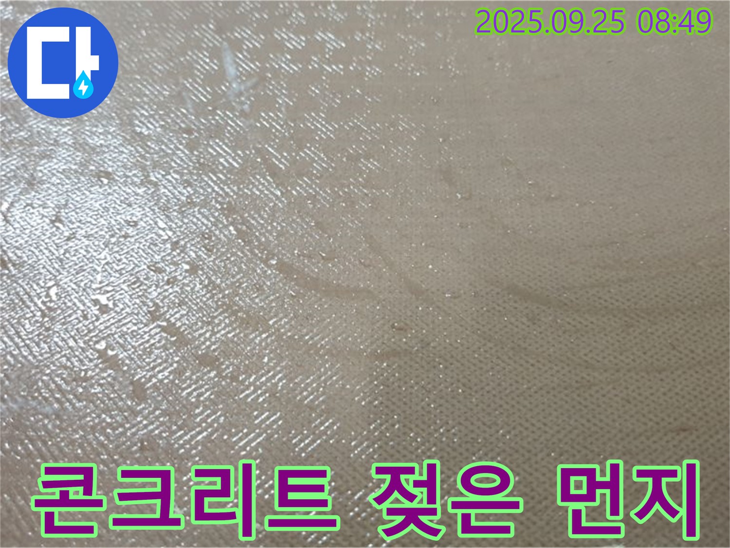 양주시 백석읍 연곡리 누수 - 콘크리트 젖은 먼지, 미세 누수의 징후일 수 있습니다.