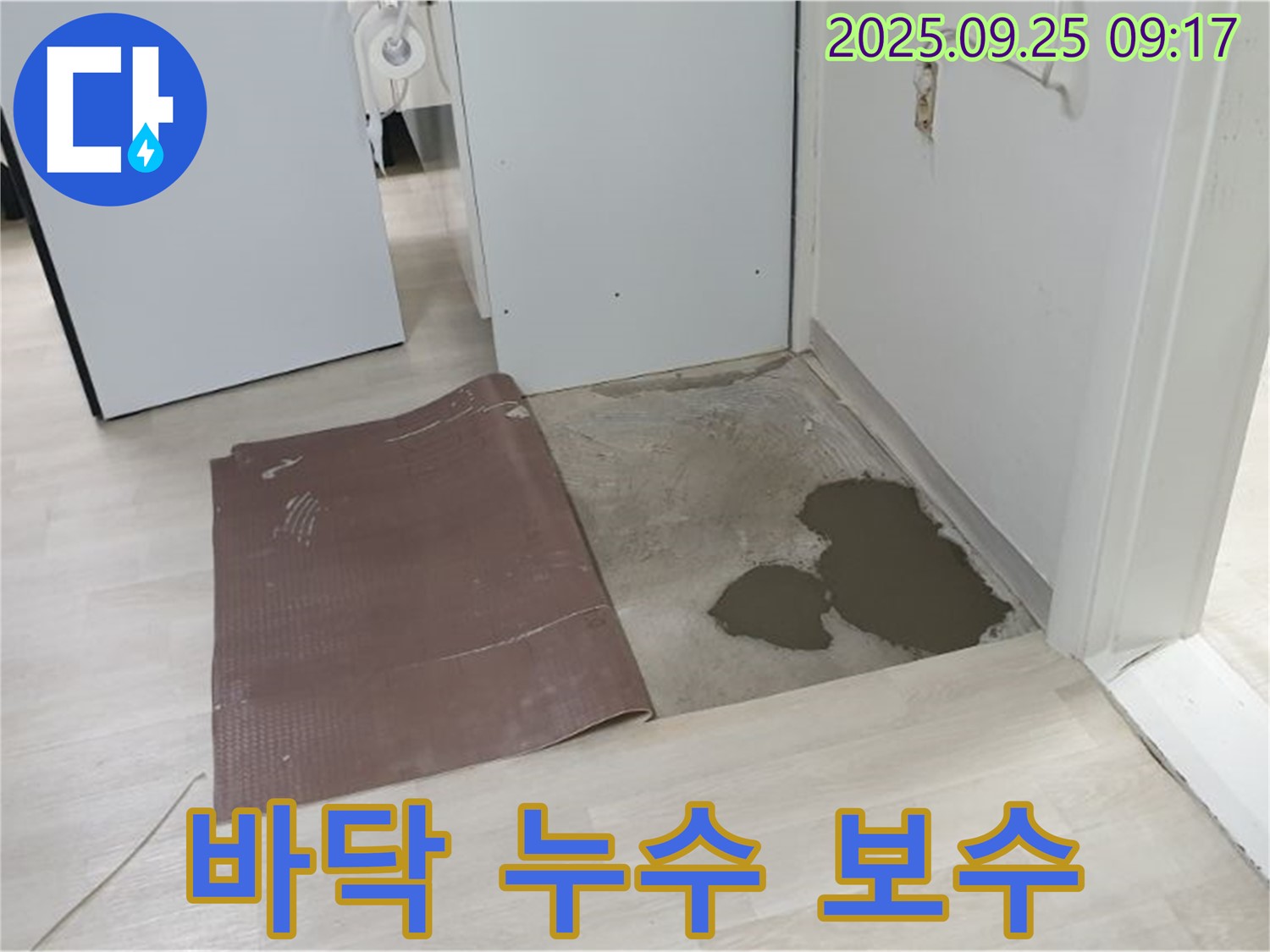 양주시 백석읍 연곡리 누수 현장 - 바닥 누수 보수 작업 중