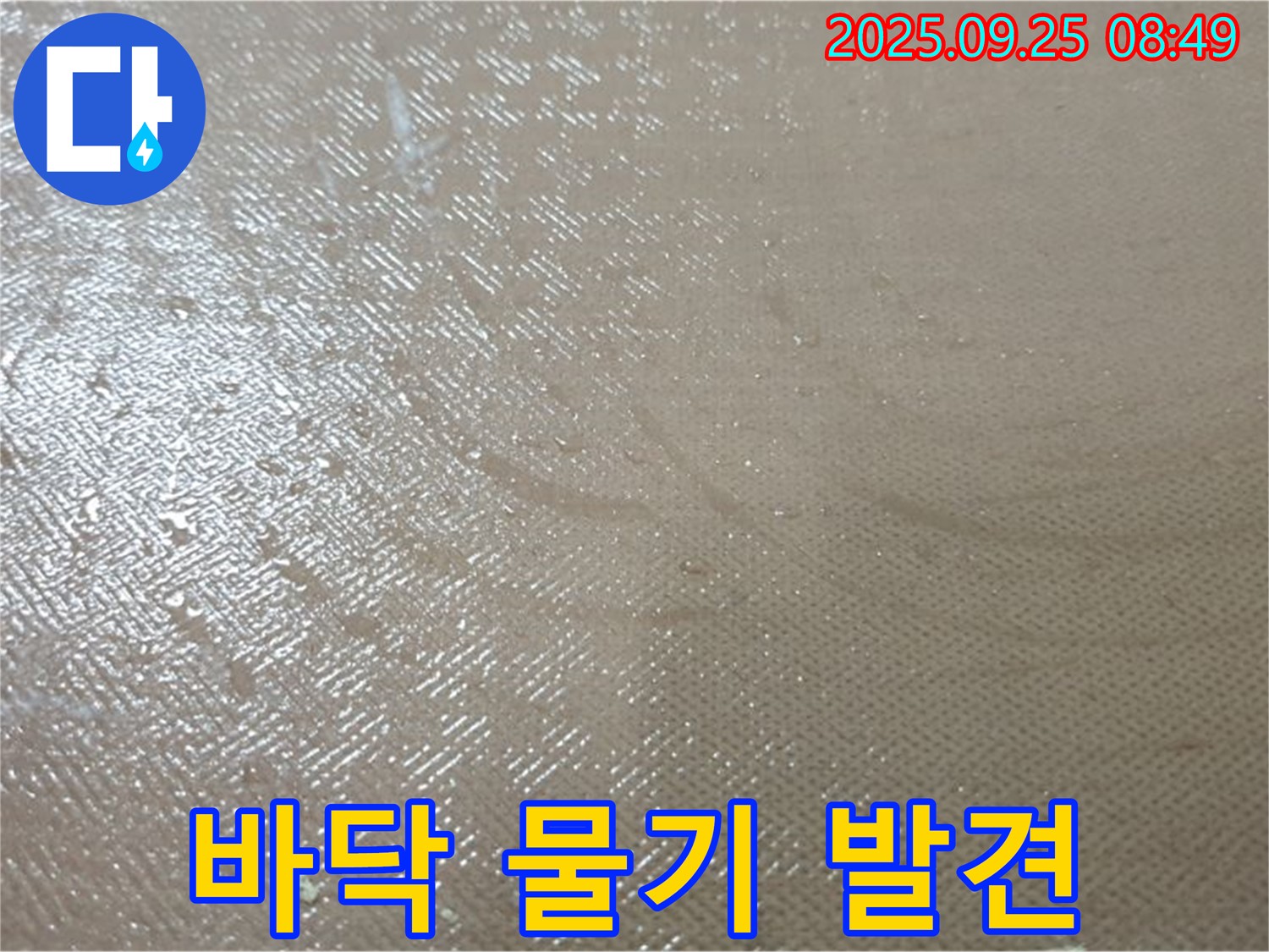 양주시 백석읍 연곡리 바닥 물기 발견 - 누수탐지 전문 업체에서 신속하고 정확하게 누수를 해결해 드립니다.
