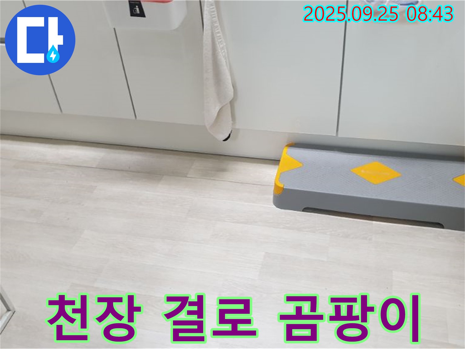 양주시 백석읍 연곡리 베란다 천장 결로 - 결로 현상으로 인한 곰팡이 문제를 제거하고 쾌적한 베란다를 만드세요.