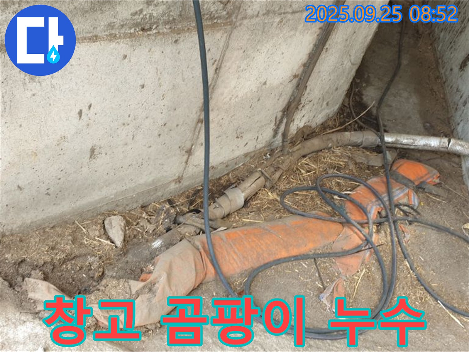 백석읍 복지리 농가 창고 누수 - 습기로 인한 곰팡이를 주의하세요!