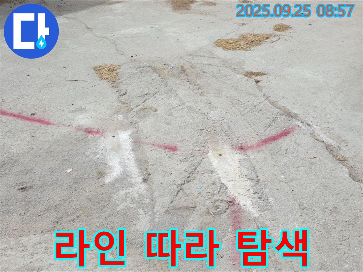 양주시 백석읍 복지리 누수 탐지 - 붉은 라인 따라 누수 의심 지점 집중 탐색으로 정확한 위치 파악