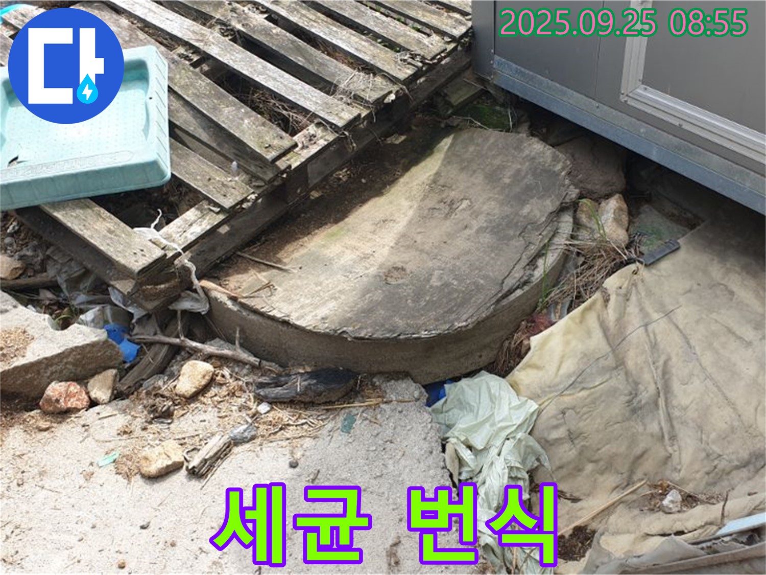 양주시 백석읍 복지리 누수 - 폐자재 속 습기 곰팡이 세균 번식