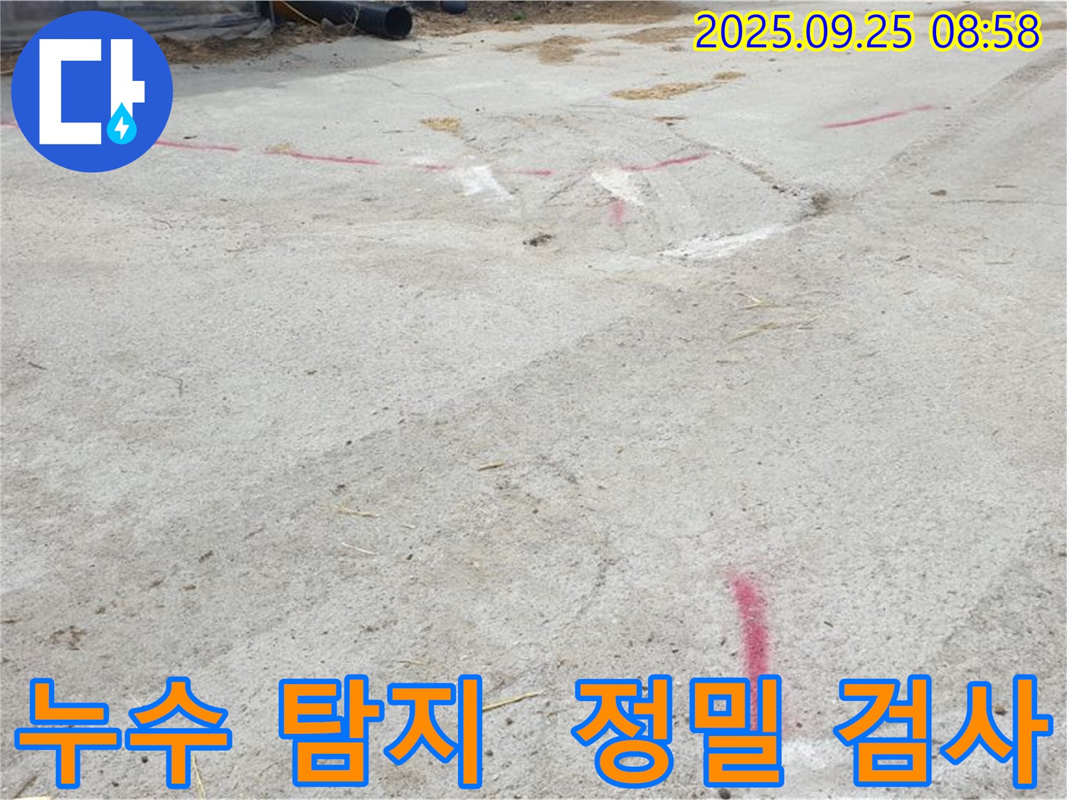 양주시 백석읍 복지리 누수탐지 - 정밀 누수 탐지 작업 진행