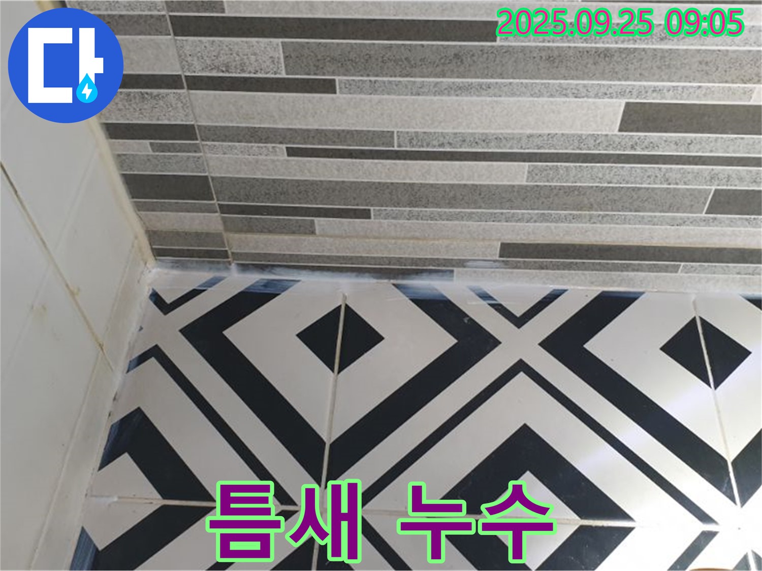 벽 타일 틈새 틈새 누수 - 벽 타일 틈새 부분의 백시멘트 틈새 손상으로 인한 누수 발생 지점을 보여주는 이미지입니다.