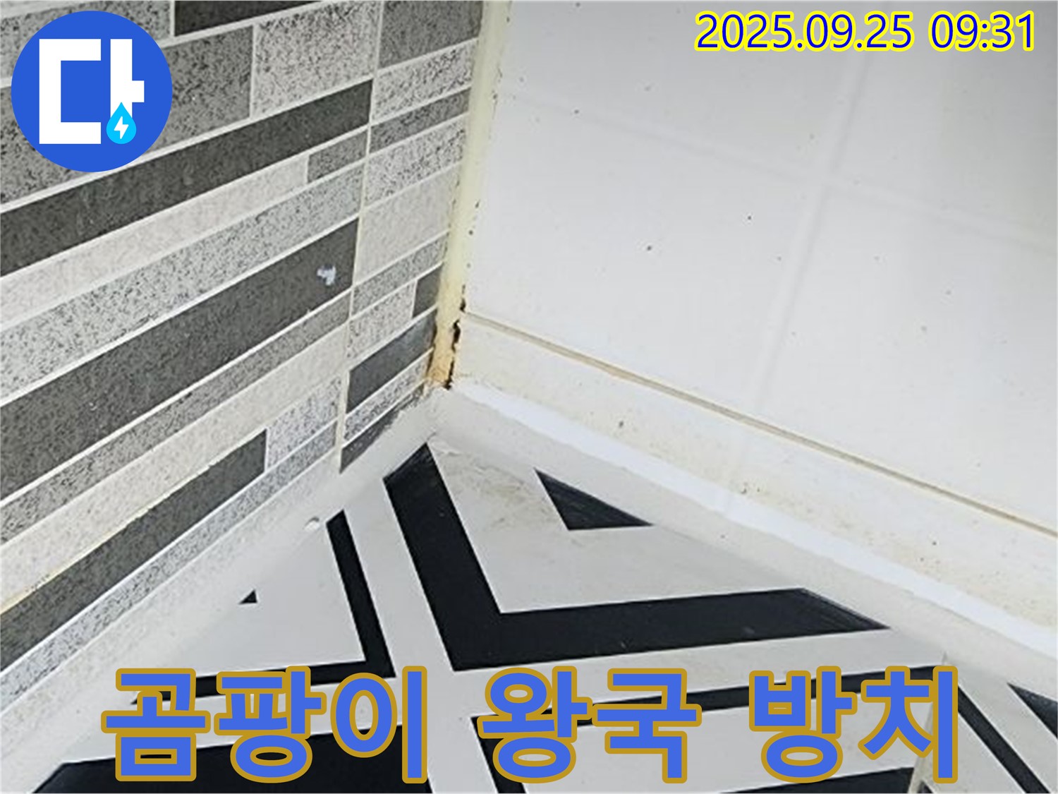 양주시 백석 - 곰팡이가 가득한 욕실 - 곰팡이 왕국을 연상시키는 이미지