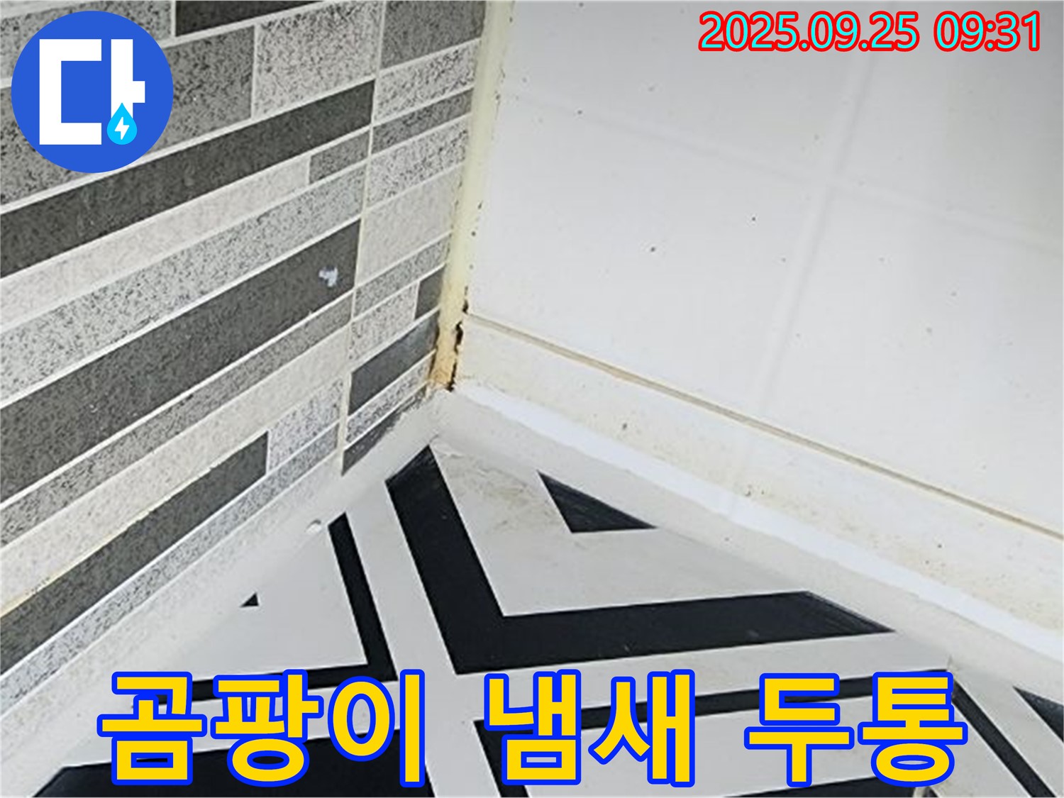 양주시 백석읍 오산리 - 곰팡이 냄새로 인해 두통을 호소하는 모습 - 곰팡이와 건강의 연관성