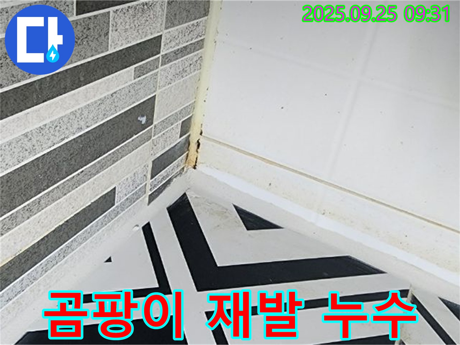 양주시 백석읍 오산리 - 곰팡이를 닦아도 계속 생기는 욕실 - 재발하는 곰팡이