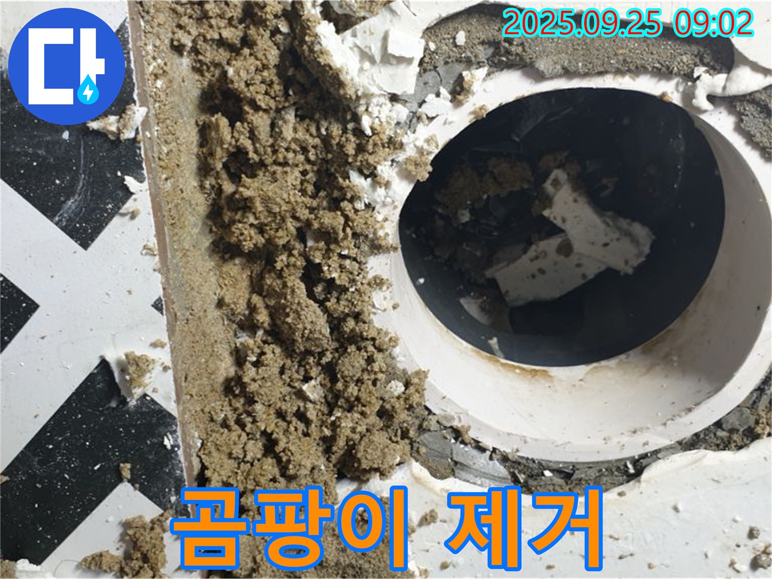 양주시 백석읍 오산리 누수 현장 - 누수 부위 주변 벽지 곰팡이 제거 작업 진행.