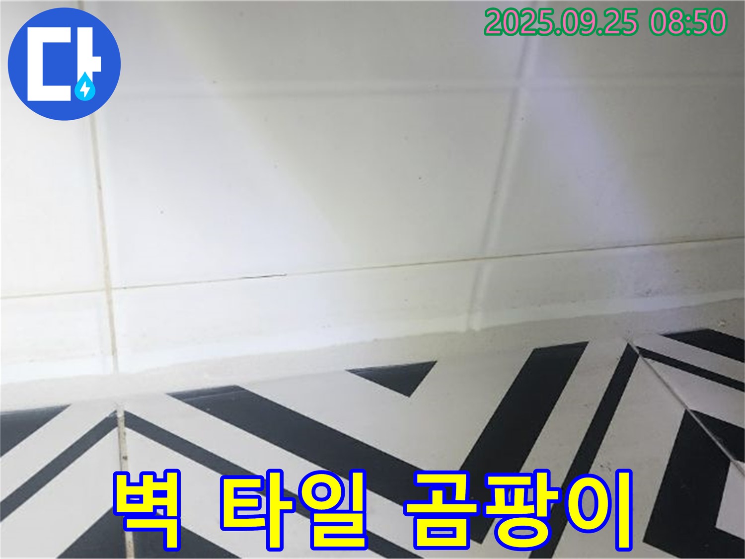 양주시 백석읍 오산리 벽 타일 곰팡이 누수 - 꼼꼼한 탐지와 확실한 공사로 누수 문제 해결