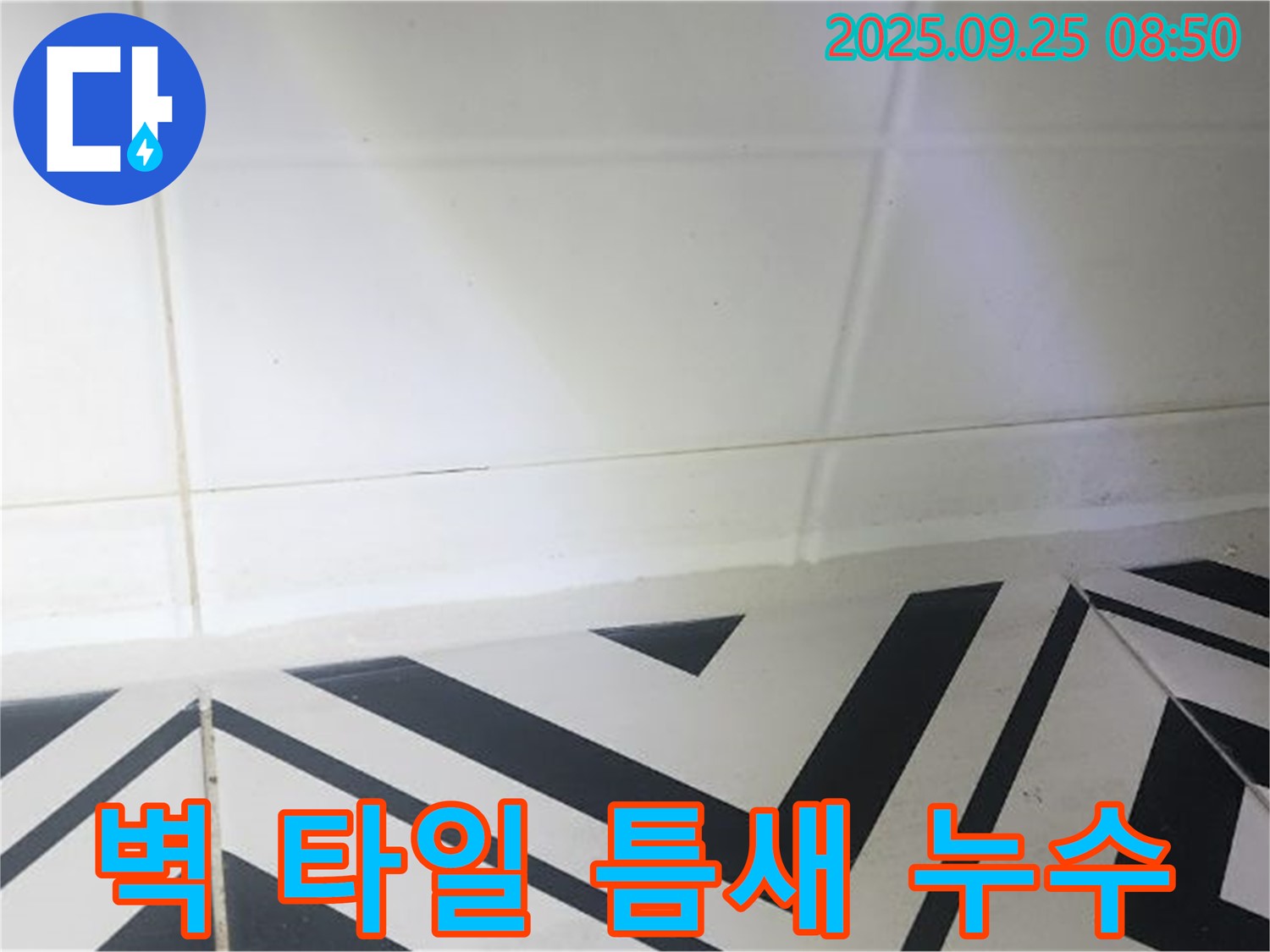 양주시 백석읍 오산리 벽 타일 틈새 누수 - 누수탐지부터 완벽 시공까지!