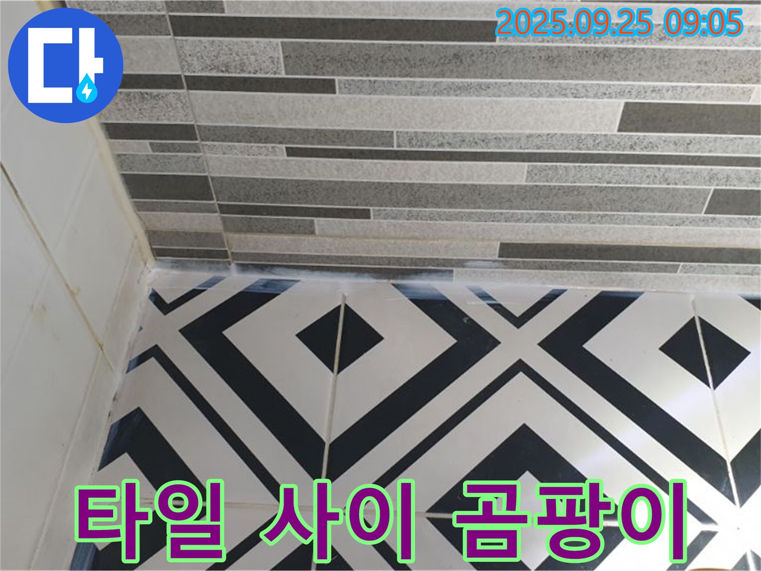 타일 사이 곰팡이 - 타일 사이에 곰팡이가 심하게 슨 모습입니다 - 누수의 가능성을 보여줍니다.