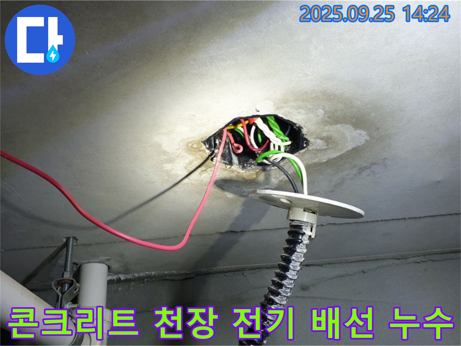 의정부 누수 전문가 - 콘크리트 천장 전기 배선 누수 정밀 진단 과정