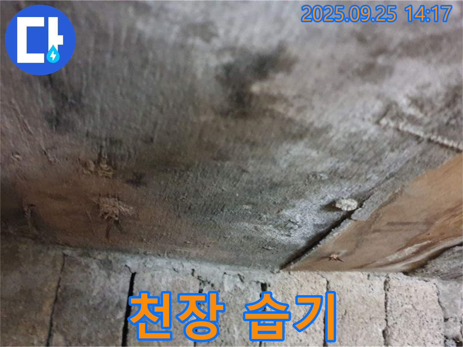 의정부 호원동 누수 현장 - 천장에 습기가 찬 모습을 촬영한 사진입니다.