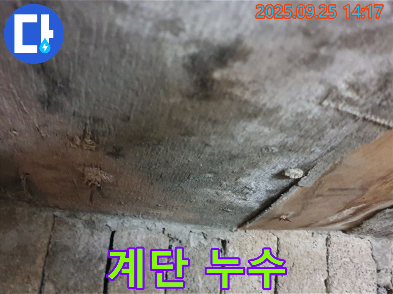 의정부 호원동 누수 현장 - 콘크리트 계단에 누수가 발생하여 겨울철 빙판길 사고 위험이 있는 모습입니다.