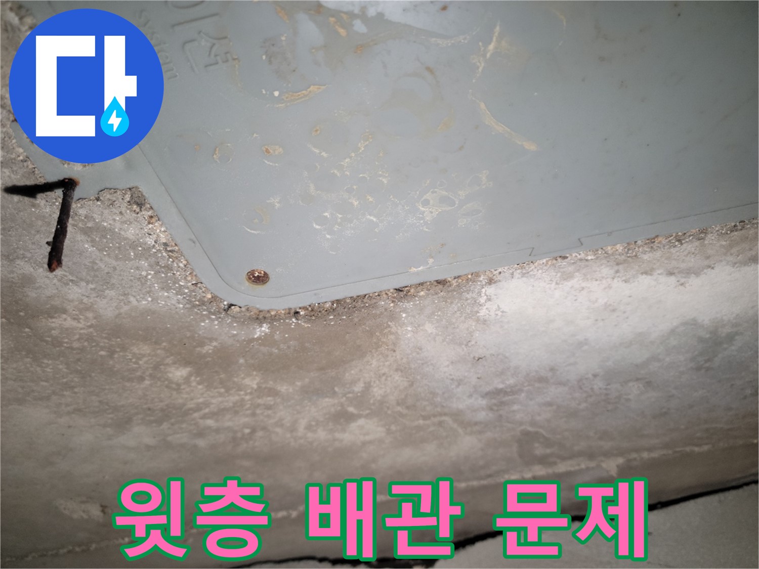 동두천 누수 - 생연동 점검구 윗층 배관 문제 의심 - 협조 필요