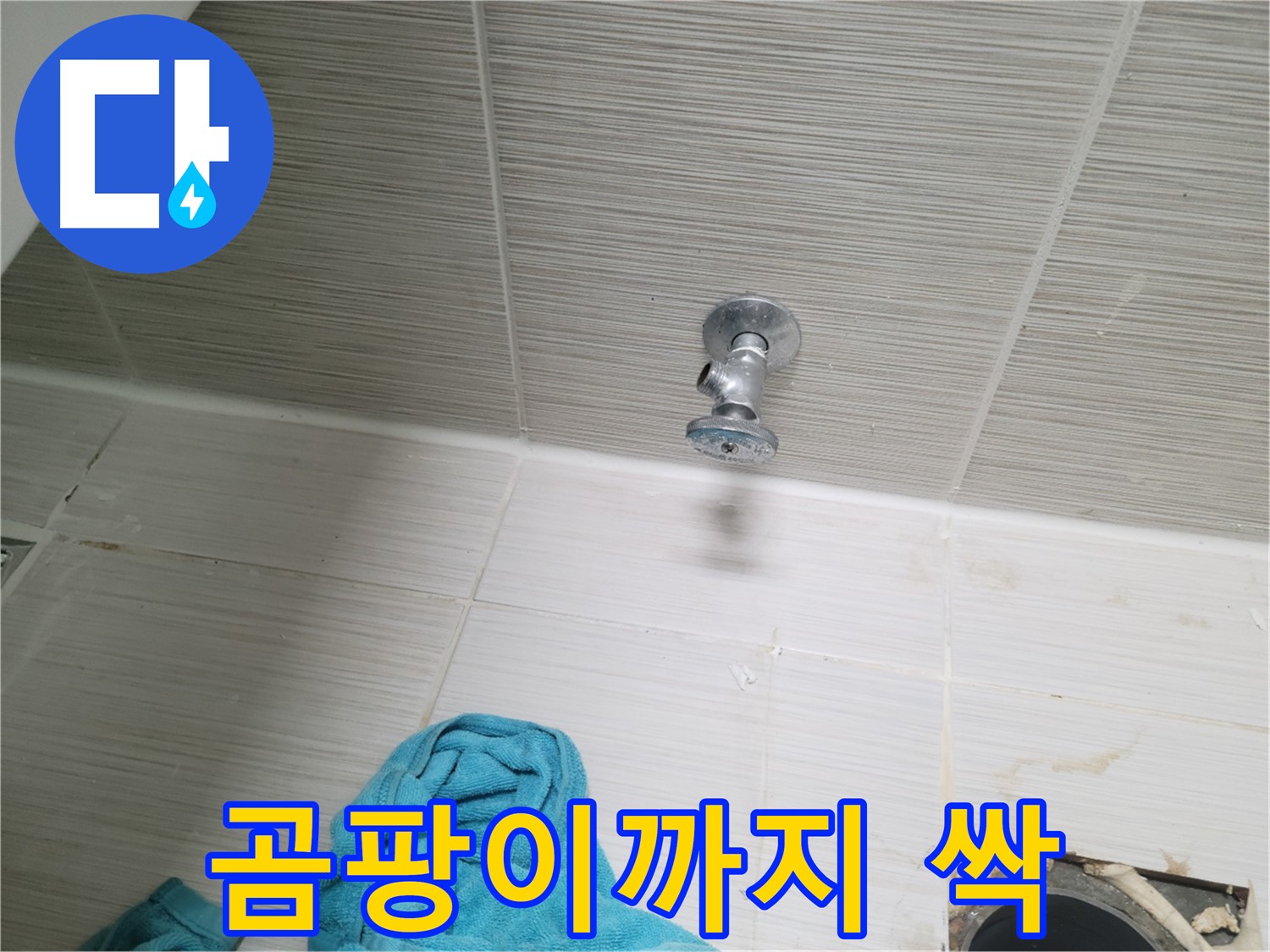 동두천 누수 - 샤워기 앵글밸브 누수, 주변 곰팡이까지 싹!