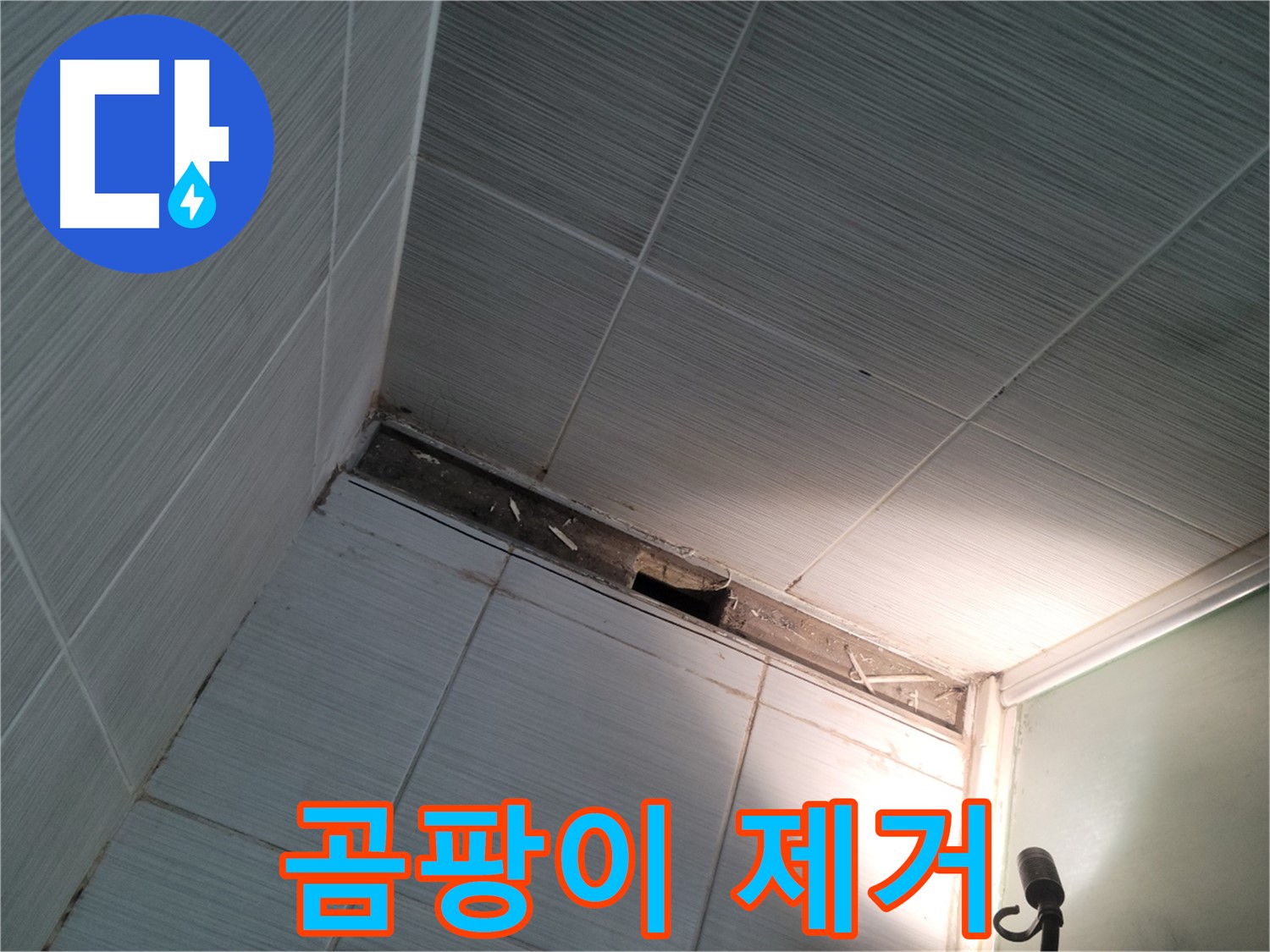 동두천 동두천동 곰팡이 제거 - 깨끗하게
