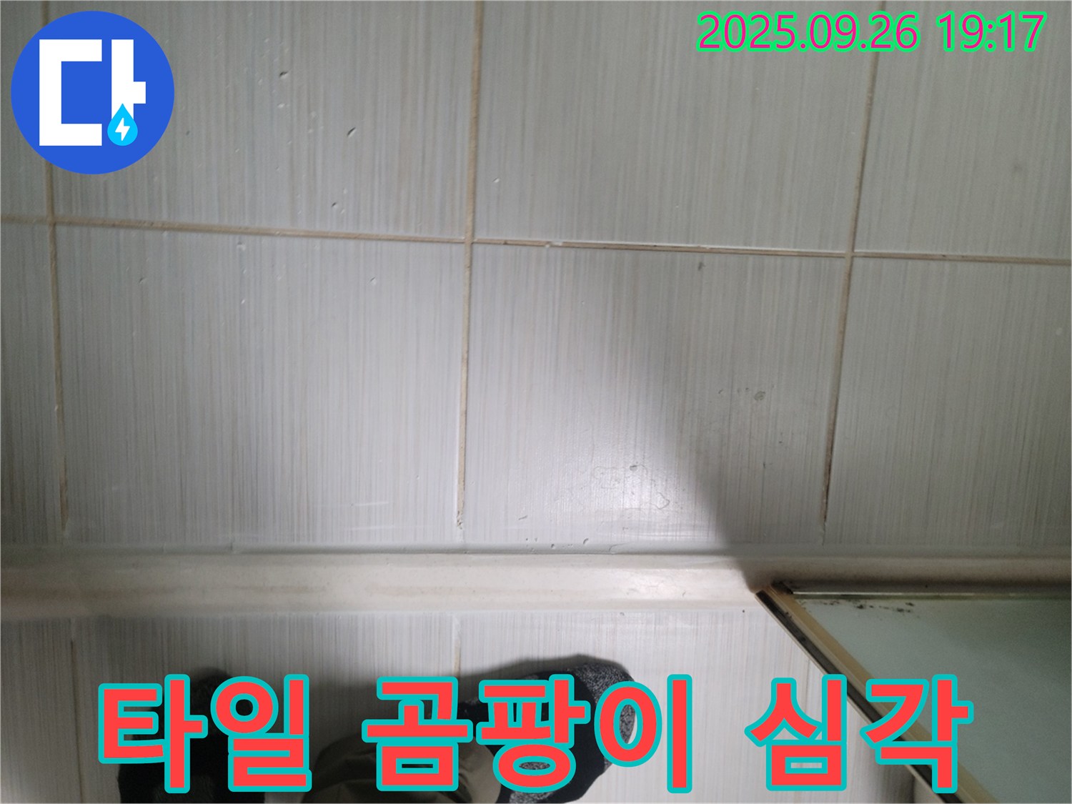 동두천 생연동 누수 - 타일 틈새 곰팡이의 심각한 상태를 확인하고 합리적인 가격을 제시하고 있습니다.