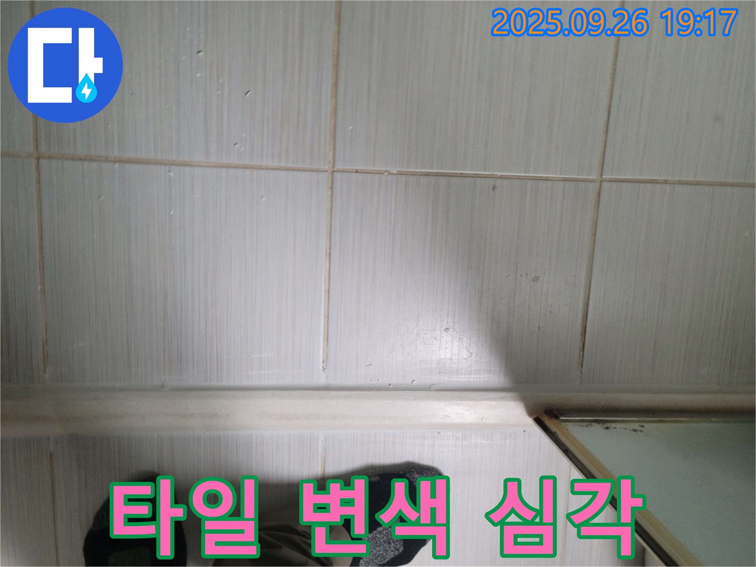 동두천 생연동 누수 - 타일의 심각한 변색 상태를 확인하고 누수 여부를 판단하고 있습니다.