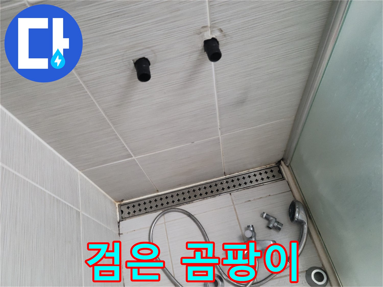 동두천 신창비바 - 샤워기 철거 후 타일 사이 검은 곰팡이 발견 - 곰팡이는 누수의 신호!