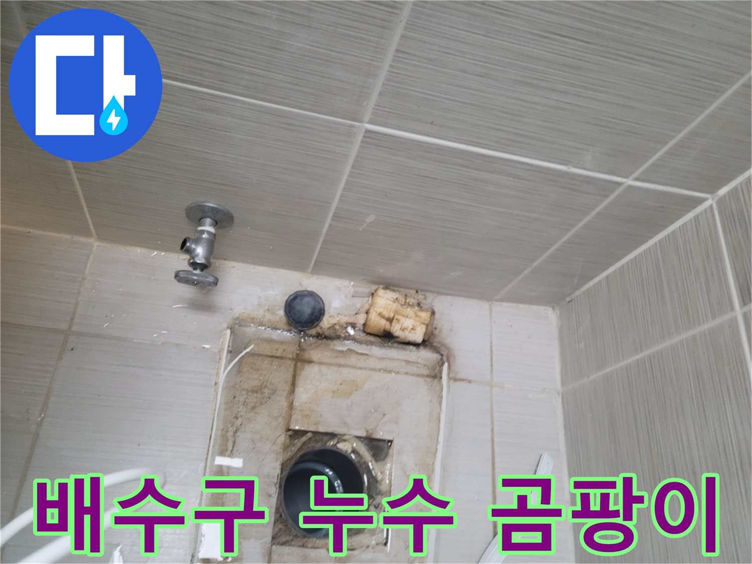 동두천 신창비바패밀리-2단지 욕실 배수구 주변 누수와 곰팡이