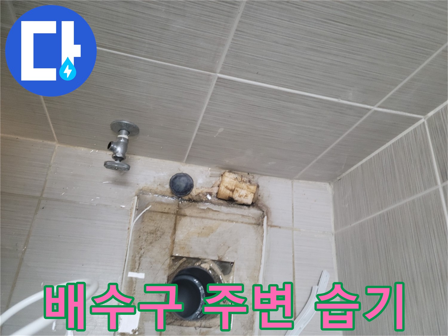 동두천 신창비바패밀리-2단지 욕실 배수구 주변 습기 및 곰팡이 확인 - 누수 의심