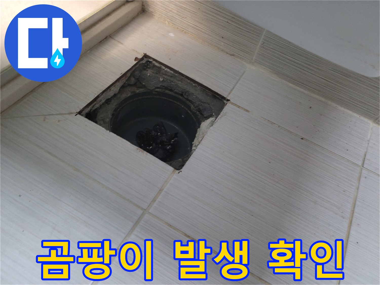 동두천 신창비바패밀리 욕실 누수 점검 - 곰팡이 발생 상태 확인