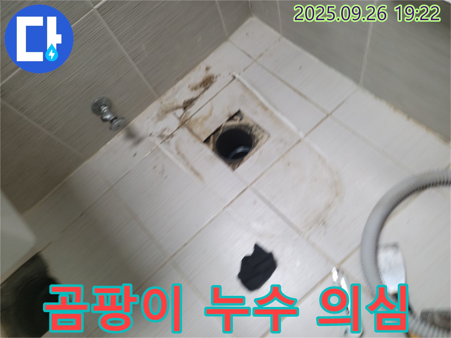 동두천 욕실 누수 - 배수구 주변 곰팡이와 누수 의심, 정밀 진단 및 해결