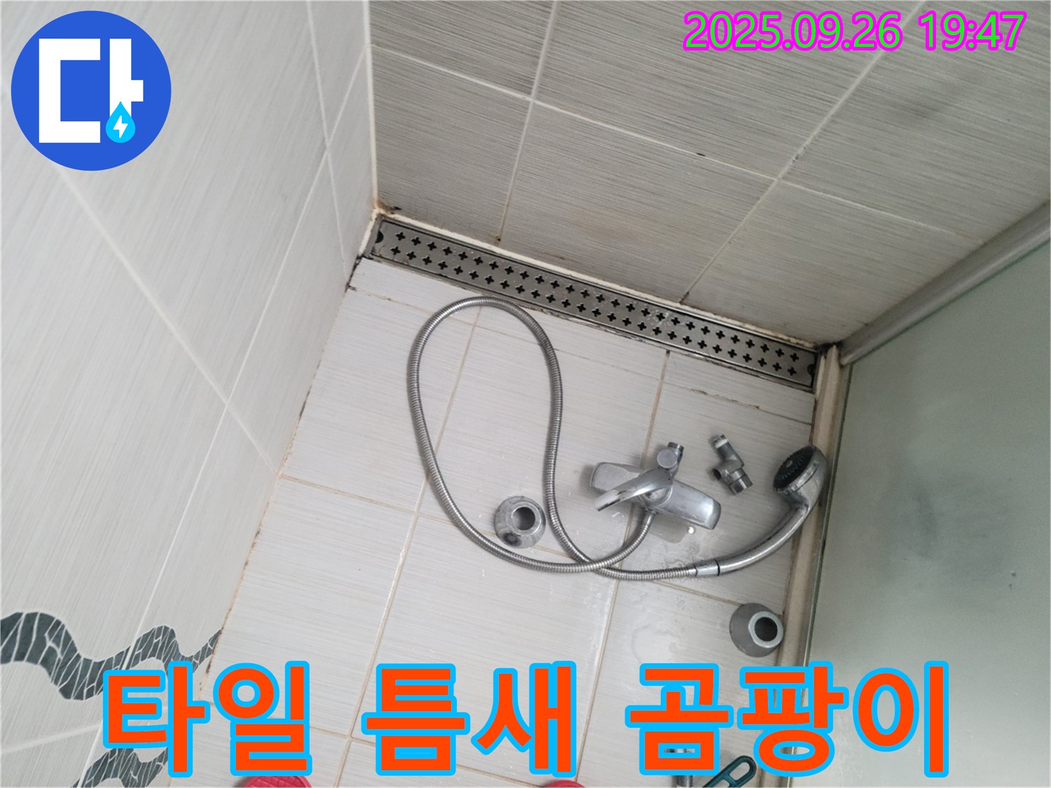 동두천시 중앙동 누수 - 샤워기 벽면 타일 틈새에 곰팡이가 핀 것을 보여줍니다.