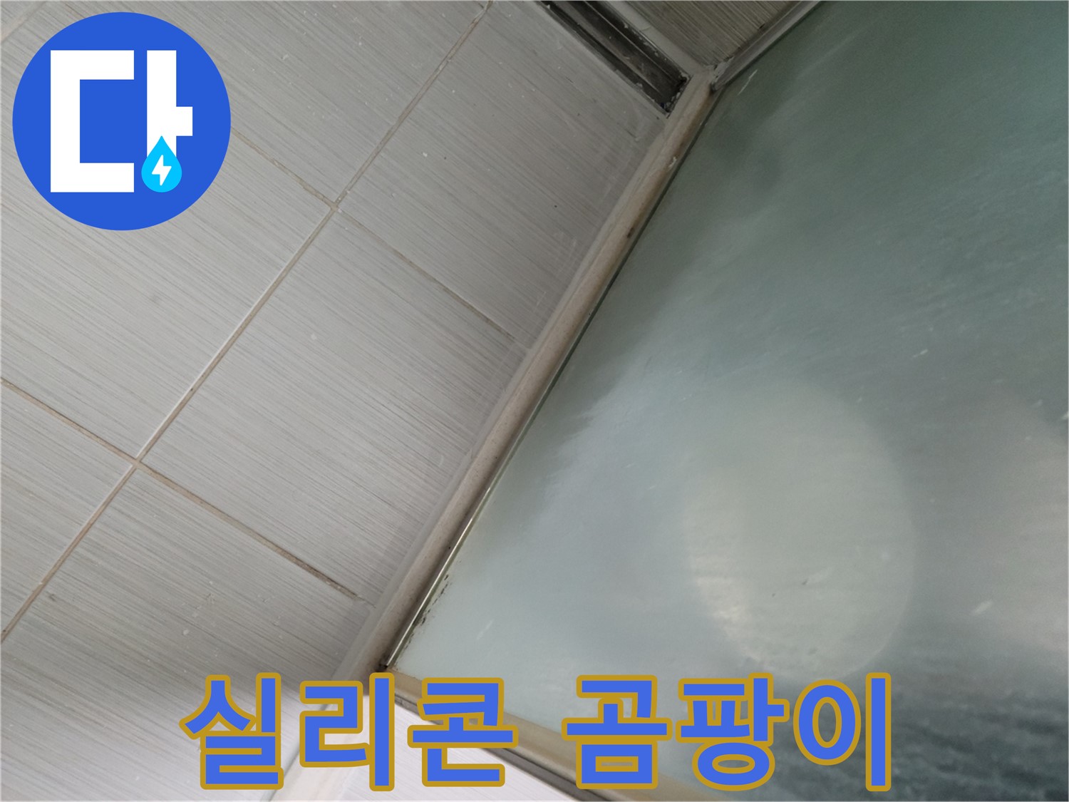 상봉암동 샤워부스 실리콘 곰팡이 - 동두천 누수 전문가의 맞춤 해결책