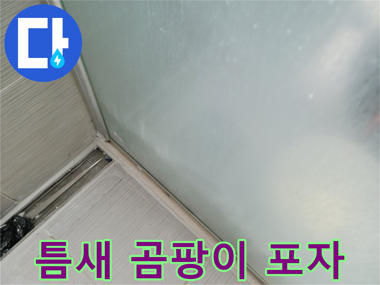 샤워부스 누수 - 틈새 - 곰팡이 포자 번식