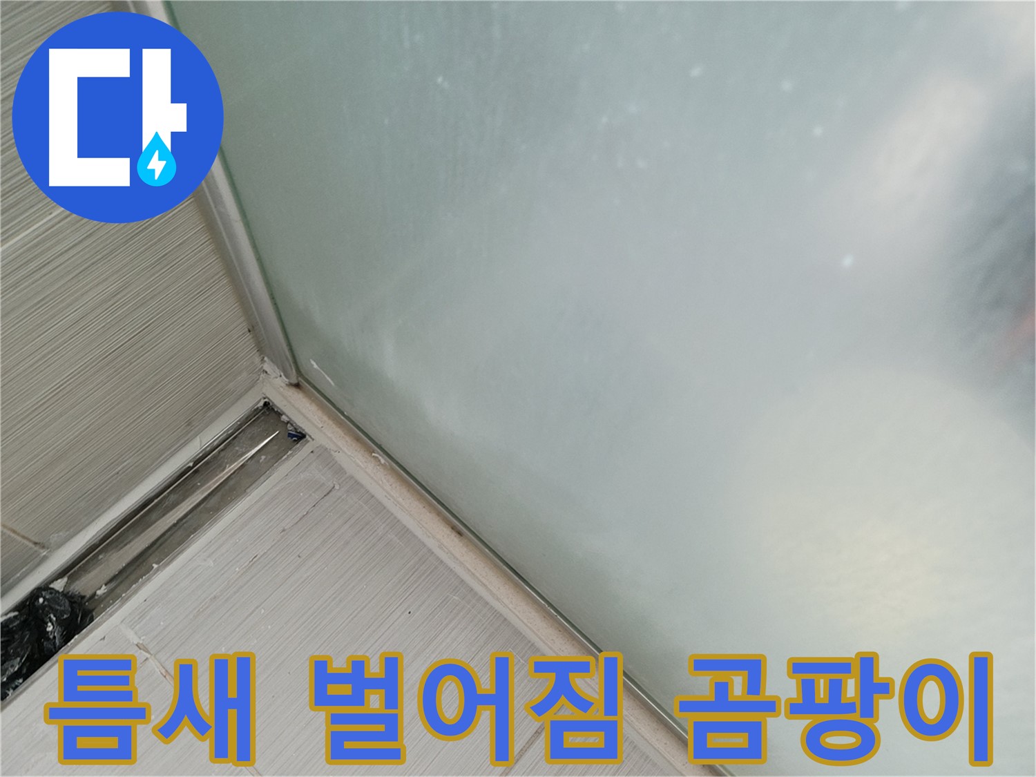 샤워부스 누수 - 틈새 벌어짐 - 곰팡이 서식
