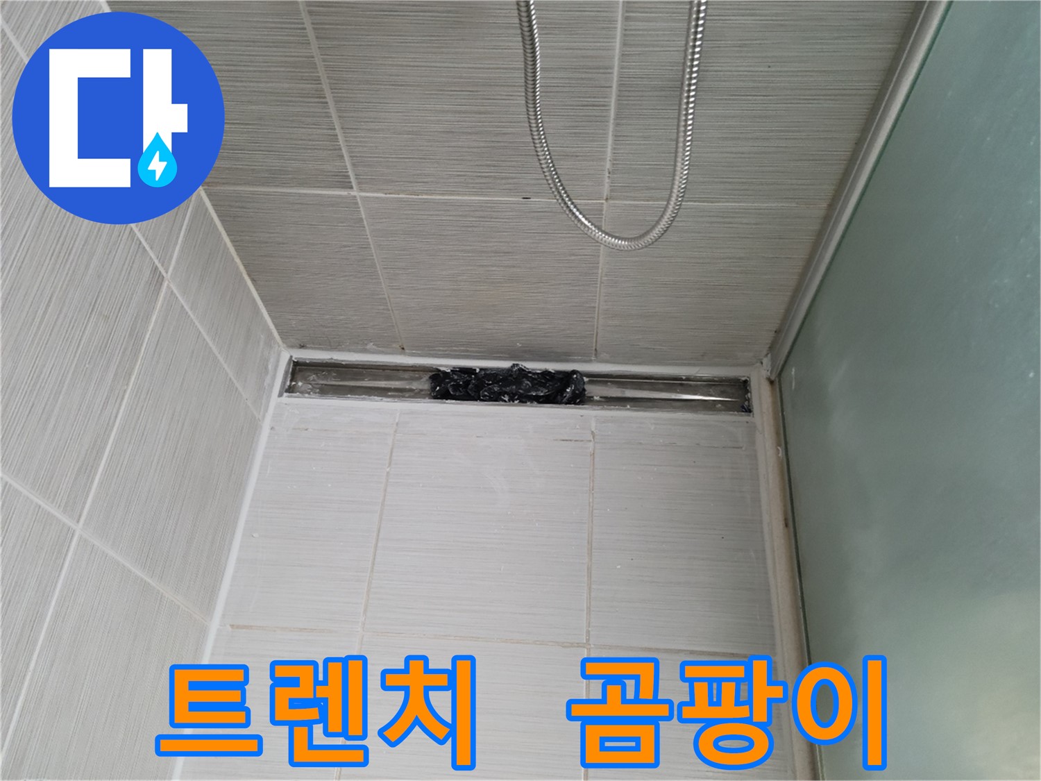 샤워부스 트렌치 - 곰팡이, 세상의 종말?!