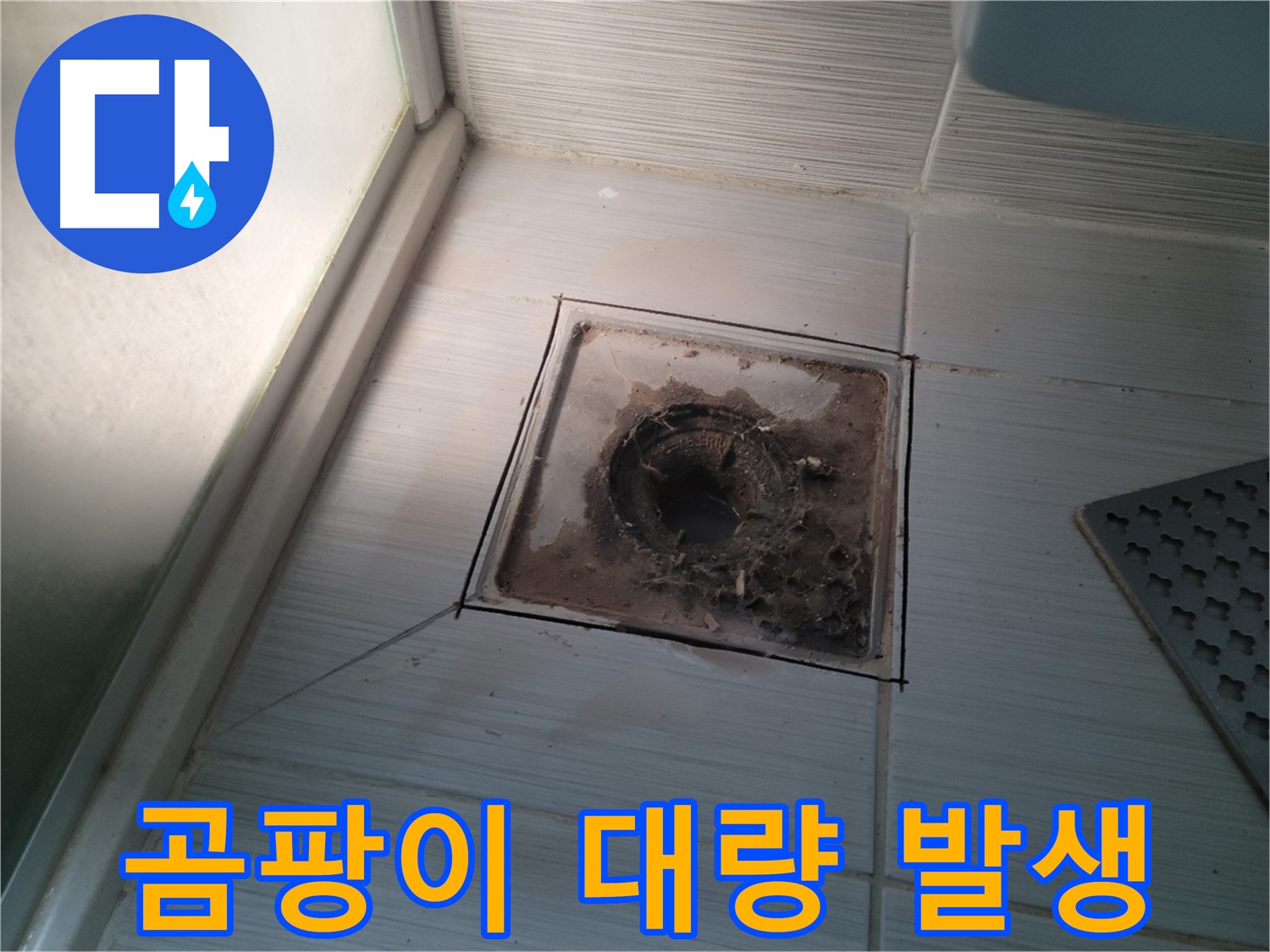 신창비바패밀리 욕실 배수구 주변 - 곰팡이 대량 발생!